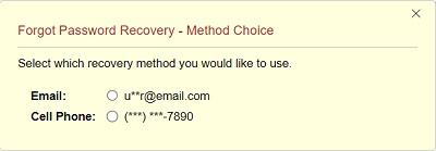 Password Recovery Choice